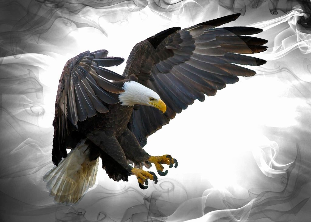 eagle symbol of hebe
